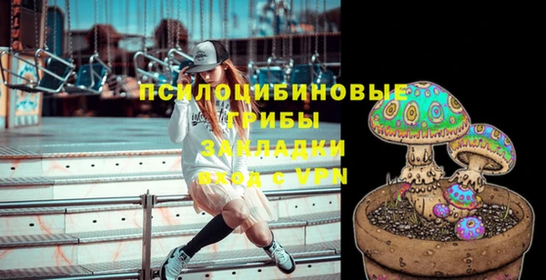 ПСИЛОЦИБИНОВЫЕ ГРИБЫ Волоколамск
