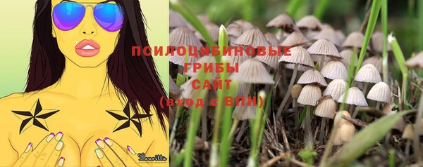 ПСИЛОЦИБИНОВЫЕ ГРИБЫ Волоколамск