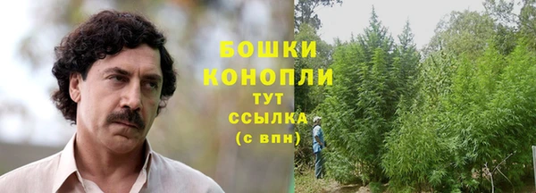 соль ск Волосово