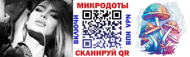 Галлюциногенные грибы Psilocybe  Карачев 